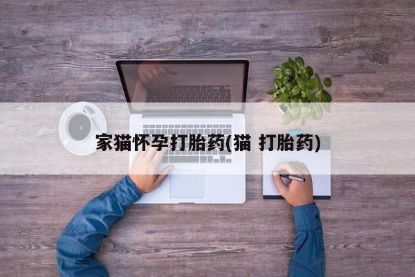 打胎药大月份用联系微信家猫怀孕打胎药(猫 打胎药)