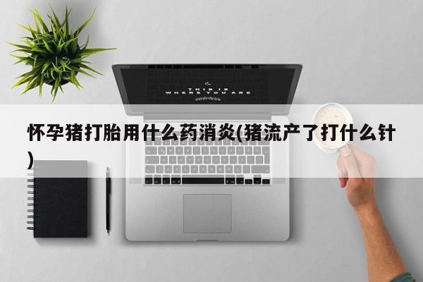 打胎药大月份用联系微信怀孕猪打胎用什么药消炎(猪流产了打什么针)